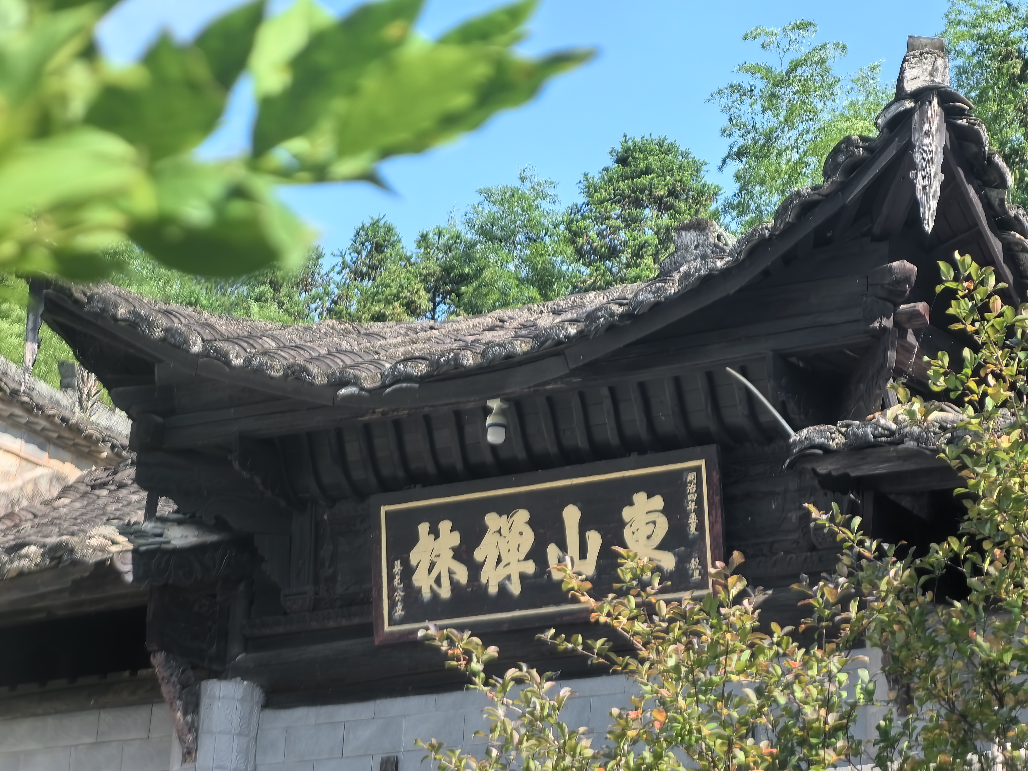 在禅堂里，我遇见了所有人——记第二次内观禅修的结缘